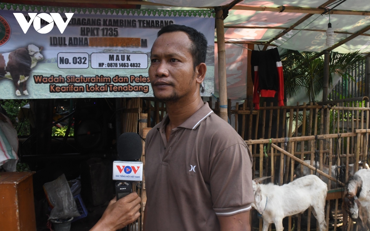 Nhộn nhịp chợ gia súc trước thềm Lễ hiến sinh Eid al-Adha tại Indonesia